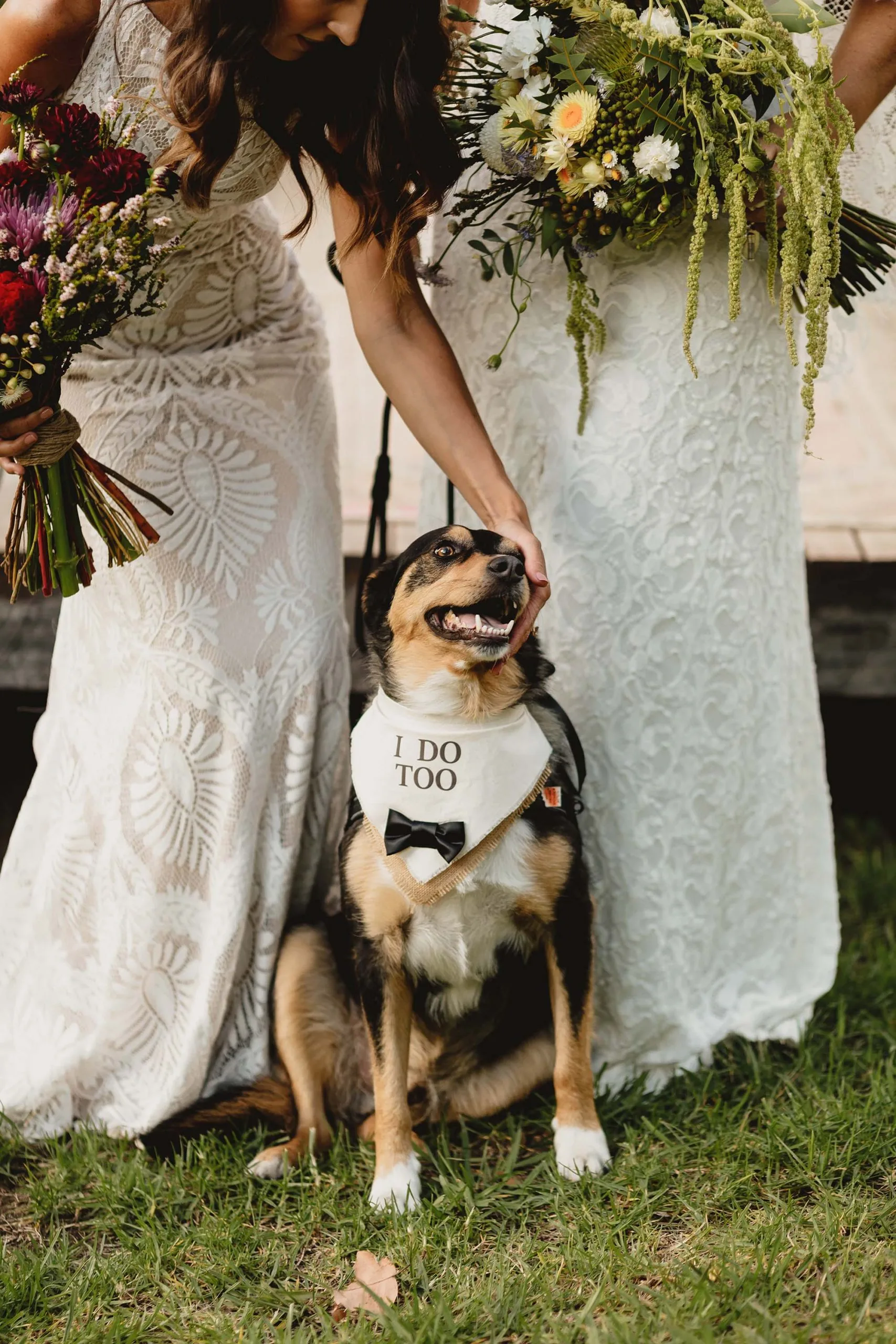 Couple with dog on wedding day